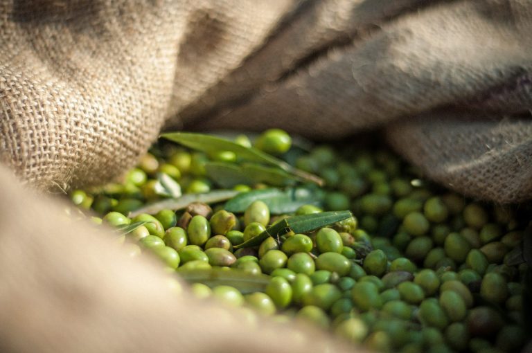 olive_harvest_bag